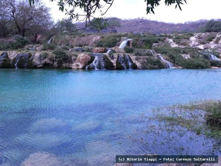 Oman: Salalah