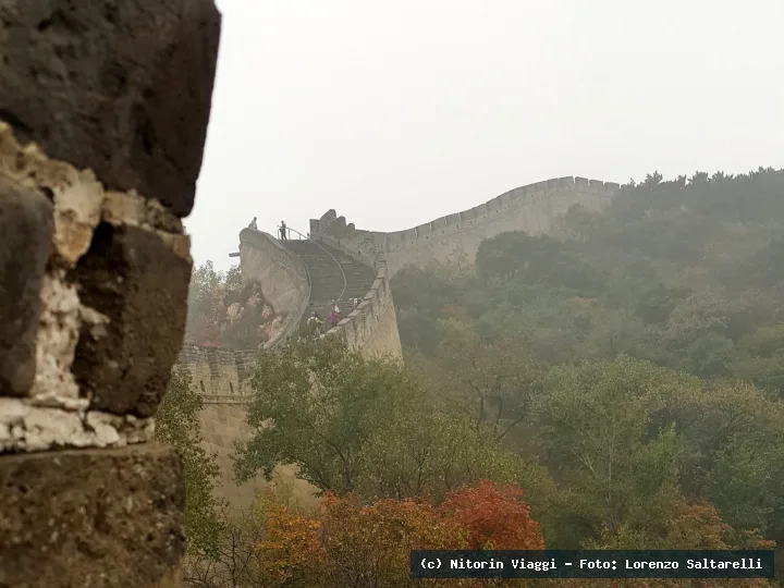 Cina