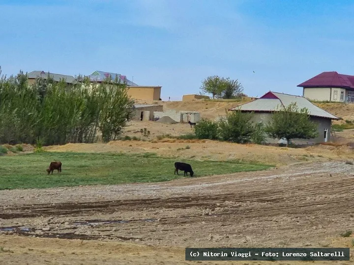 Uzbekistan: La Terra di Tamerlano